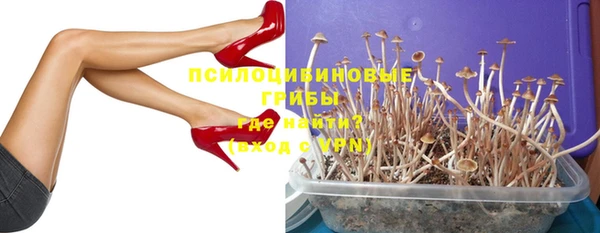 PSILOCYBIN Вязники