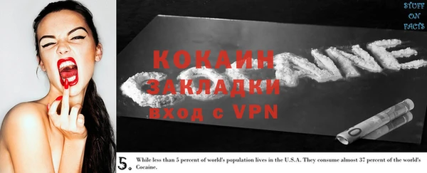 PSILOCYBIN Вязники