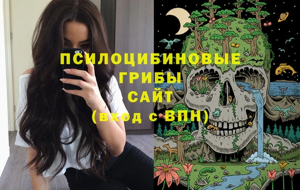 PSILOCYBIN Вязники