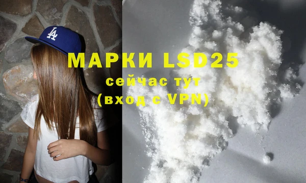 PSILOCYBIN Вязники