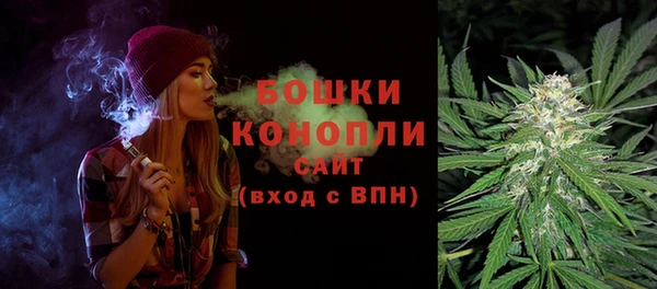 PSILOCYBIN Вязники