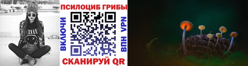 Галлюциногенные грибы мицелий  Купить закладки  Курильск 